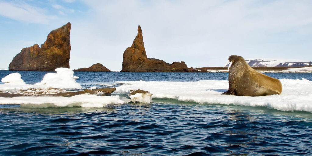The Kara Sea - The saltiest seas on Earth - infocake.net The Kara Sea - The saltiest seas on Earth
