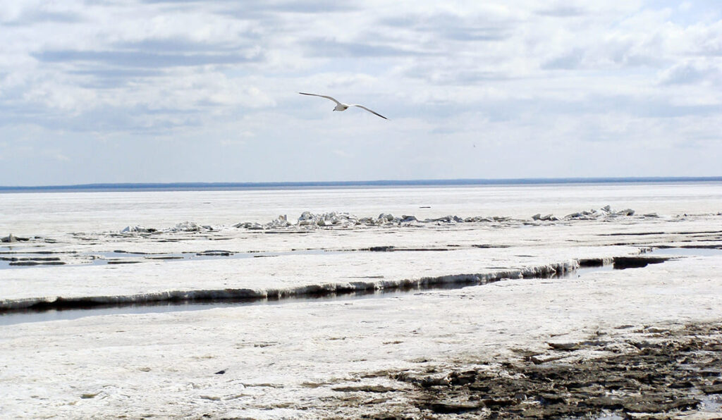 The White Sea - The saltiest seas on Earth - infocake.net The White Sea - The saltiest seas on Earth