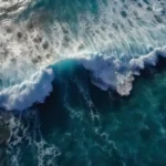 The Pacific Ocean is the largest ocean in the world