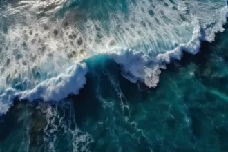 The Pacific Ocean is the largest ocean in the world