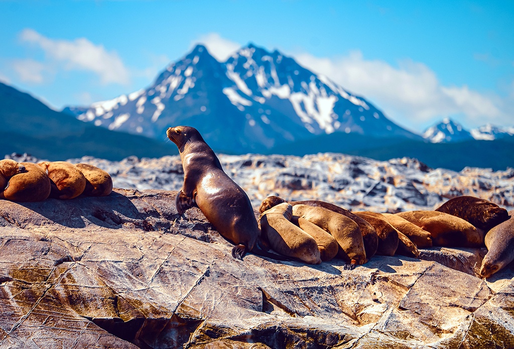 Antarctic oases - infocake.net Antarctic oases