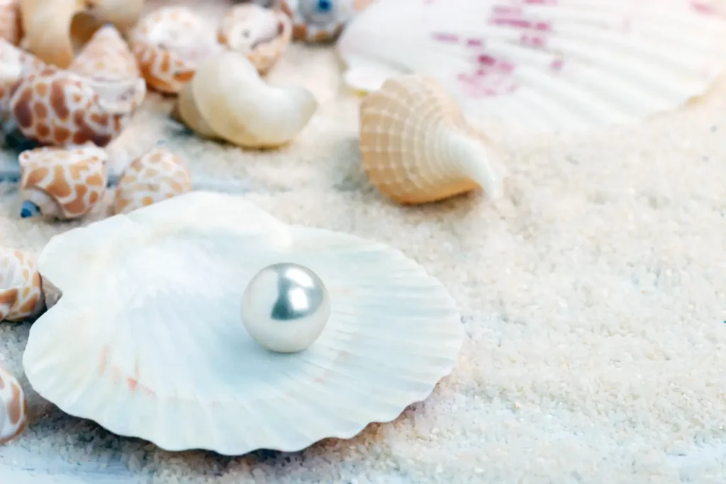 Types of pearls: freshwater and marine - infocake.net Types of pearls: freshwater and marine